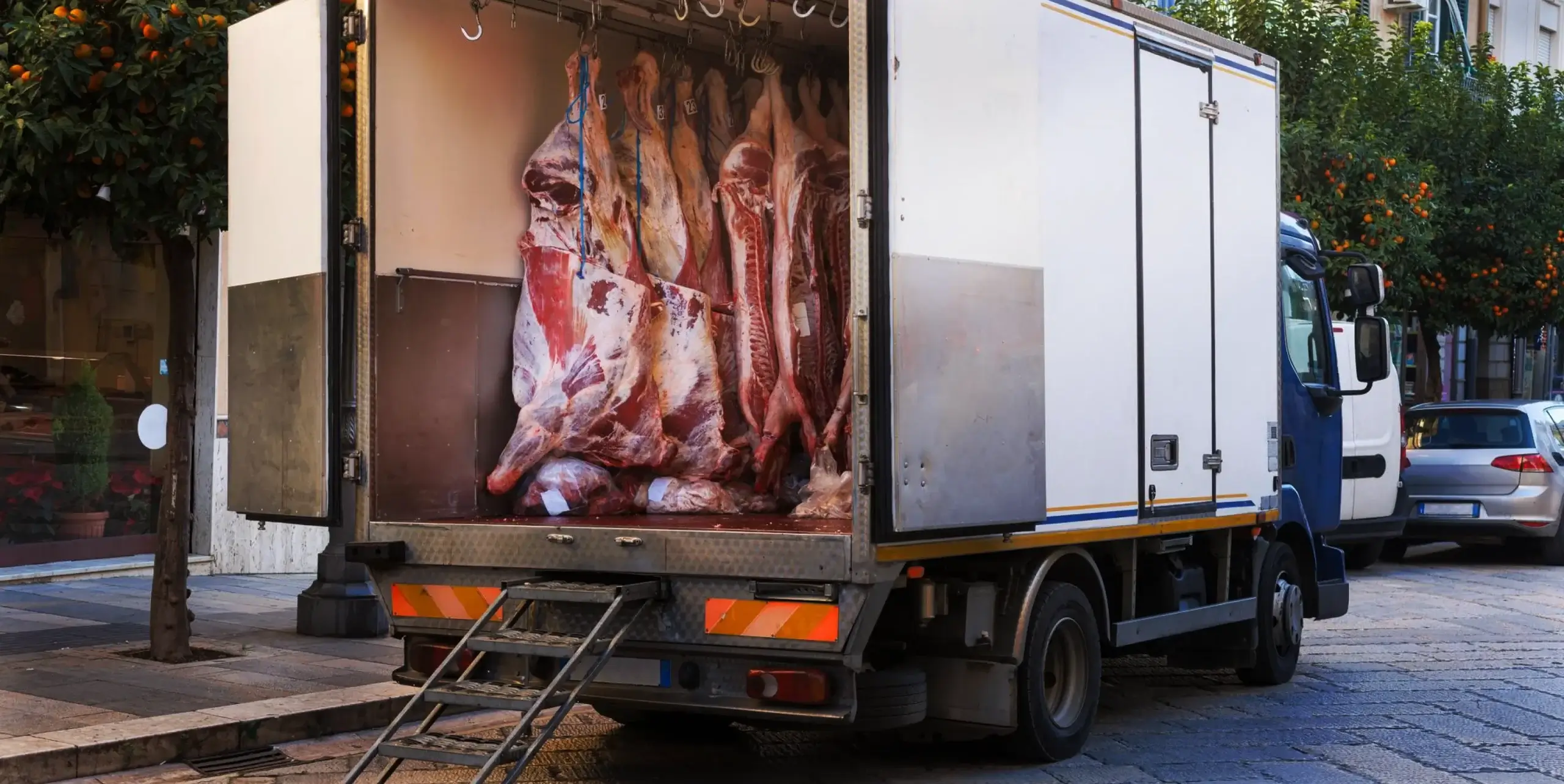 Temperature Controlled Food Logistics
